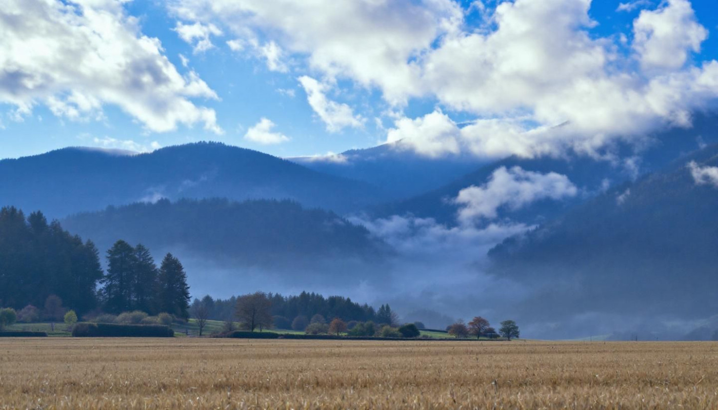 Impact environnemental de la culture de cranberries biologiques